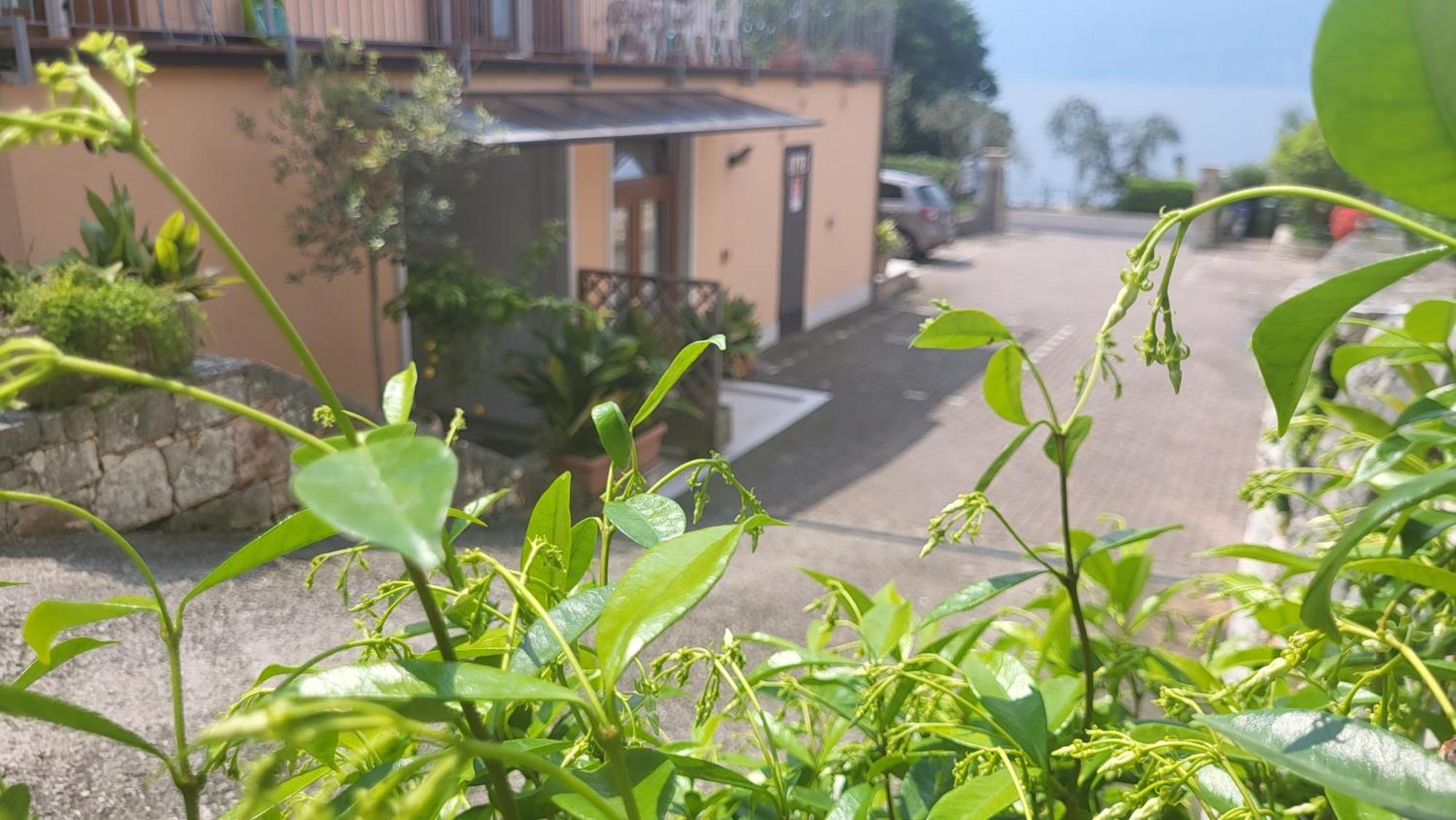 Residence Villa Margherita Brenzone sul Garda Exterior photo